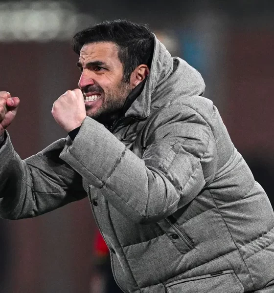 Cesc Fabregas