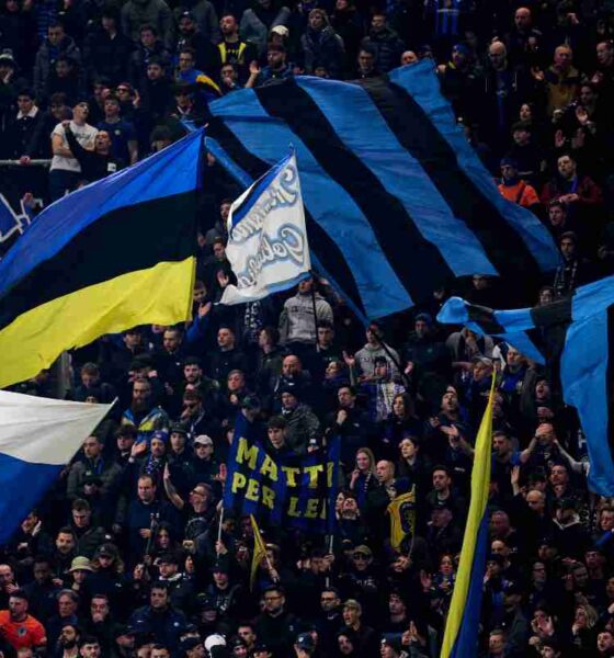 tifosi
